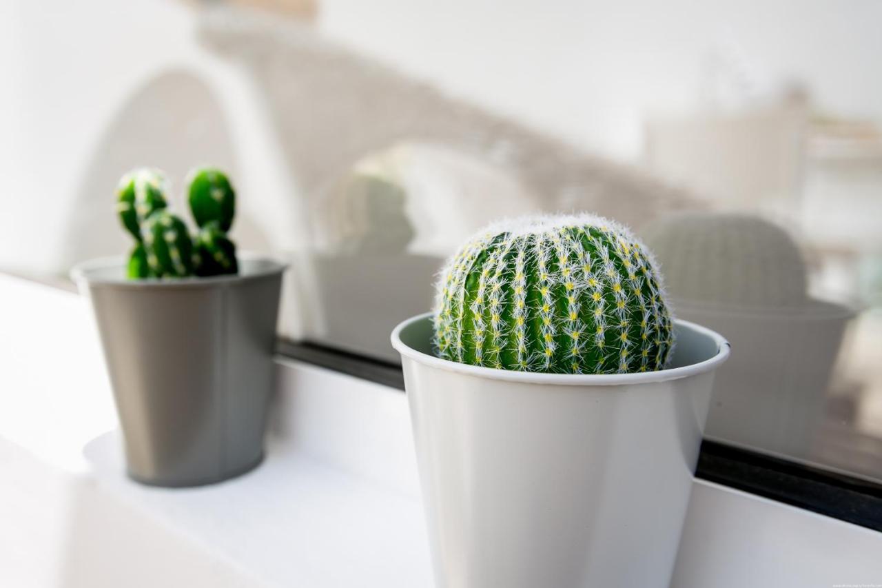 Cactus Apartment San Miguel de Abona Exteriör bild