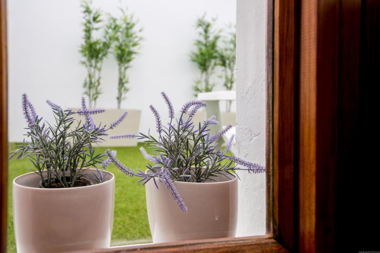 Cactus Apartment San Miguel de Abona Exteriör bild