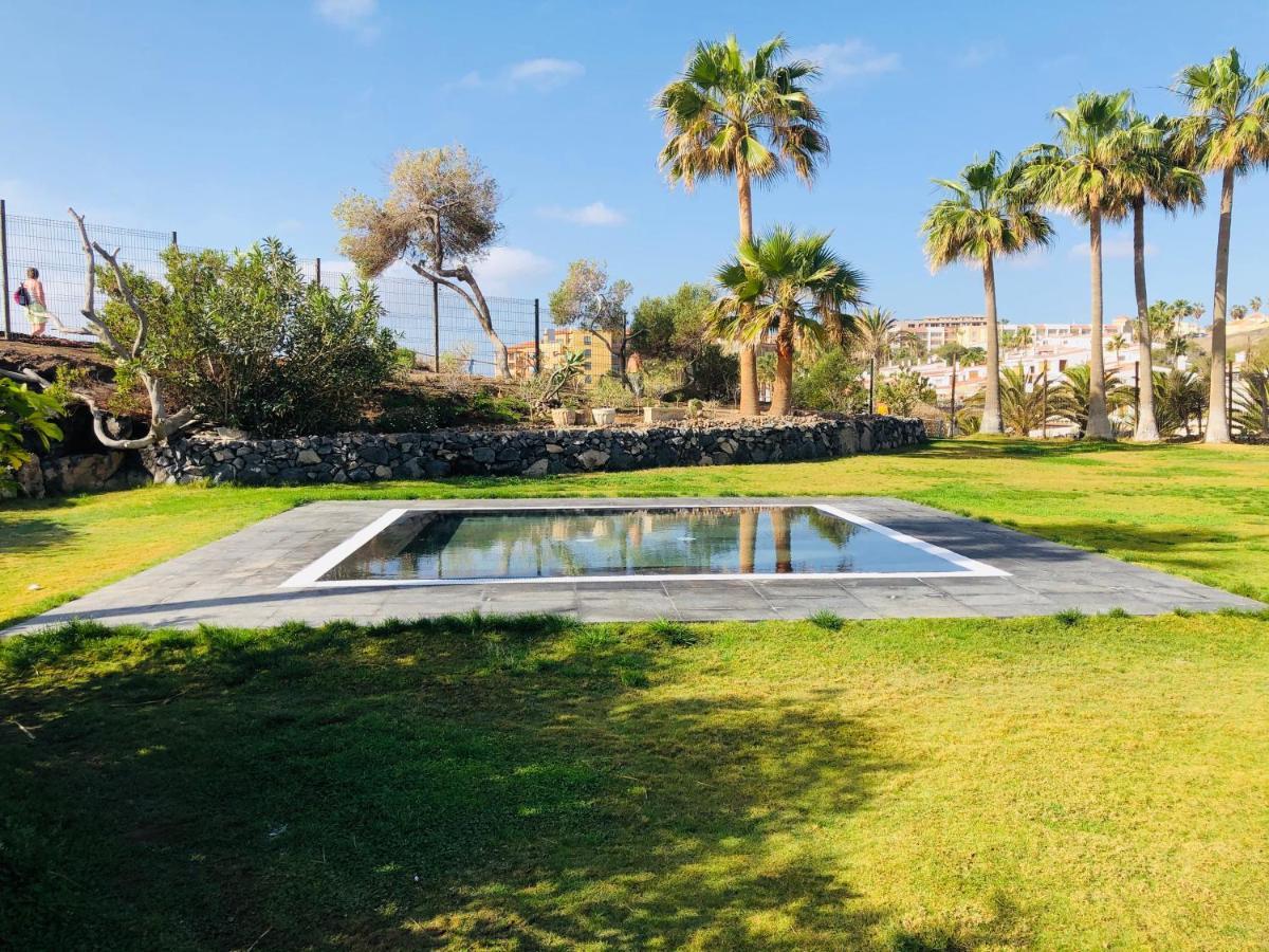 Cactus Apartment San Miguel de Abona Exteriör bild